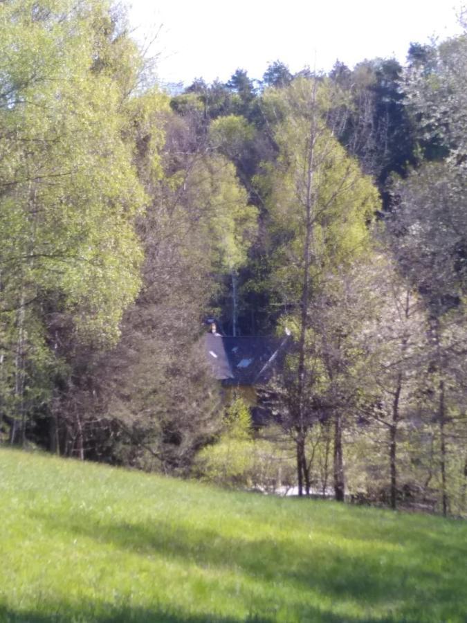 Urlaubspension Die Muehle Schöllnach Kültér fotó